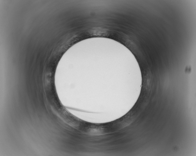 X0000112490263200909281140