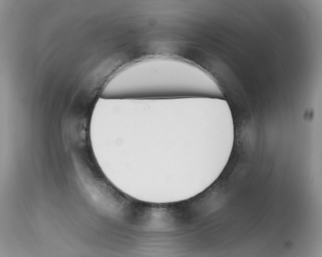X0000112490264200909281140