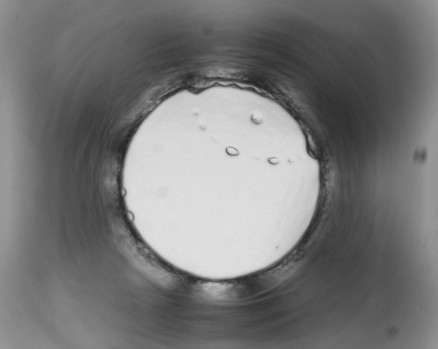 X0000112490265200909281140