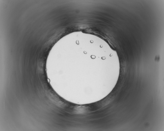 X0000112490269200909281140
