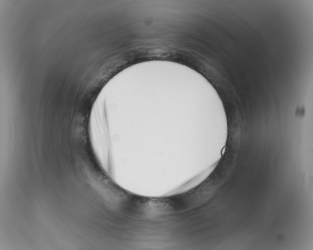 X0000112490270200909281140