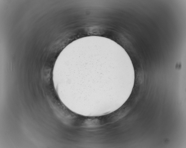 X0000112490271200909281140