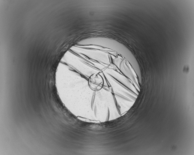 X0000112490272200909281140