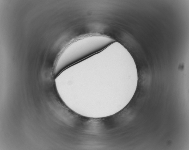 X0000112490280200909281140