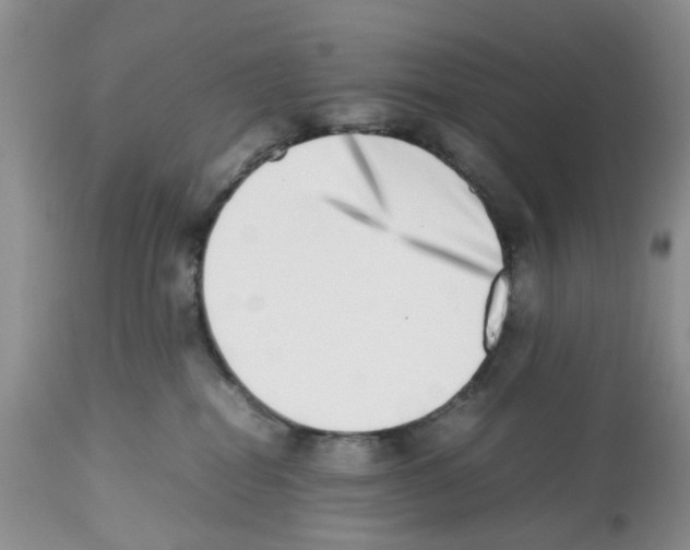X0000112490282200909281140