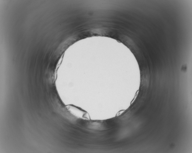 X0000112490285200909281140