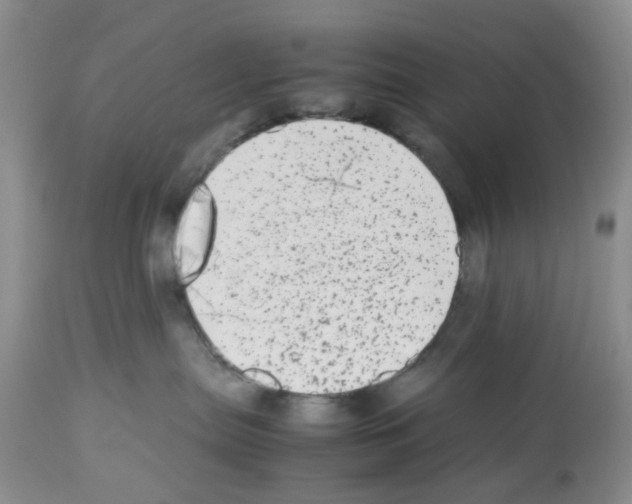 X0000112490287200909281140