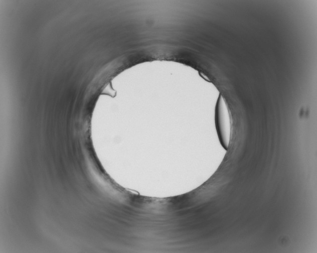 X0000112490288200909281140