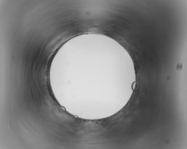 X0000112490290200909281139