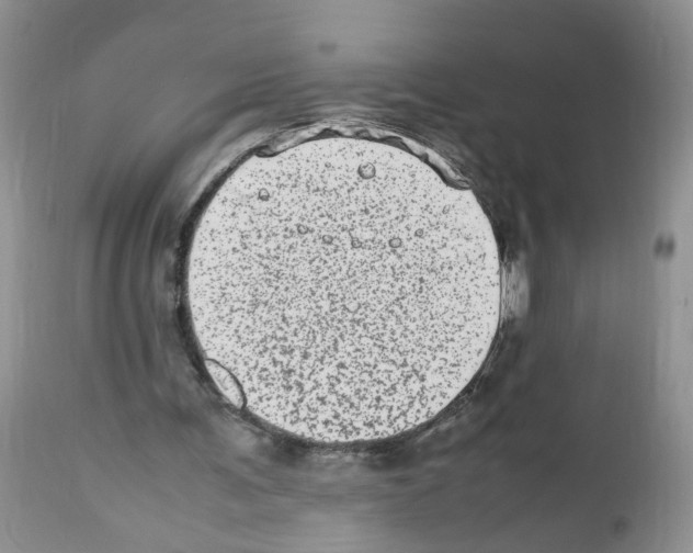 X0000112490291200909281139
