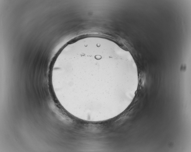 X0000112490292200909281139