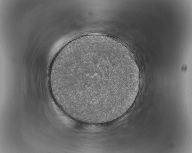 X0000112490293200909281139