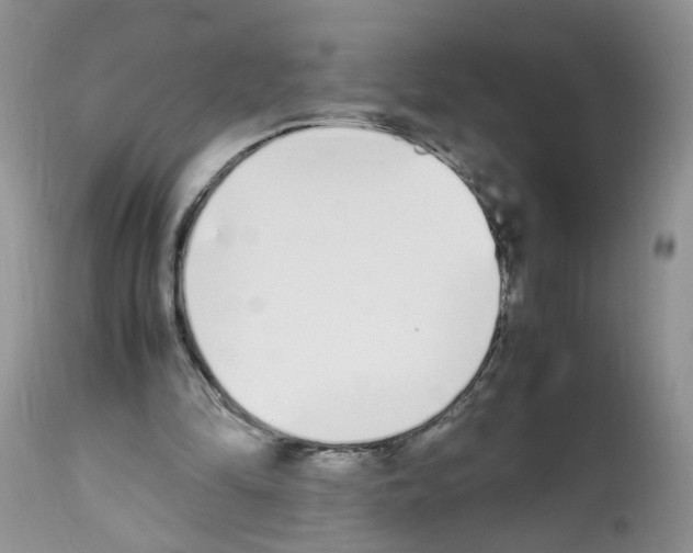 X0000112490294200909281139