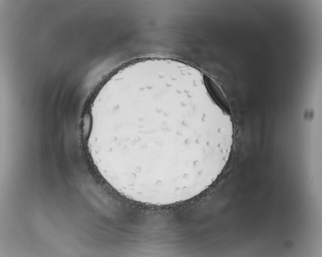 X0000112490296200909281139