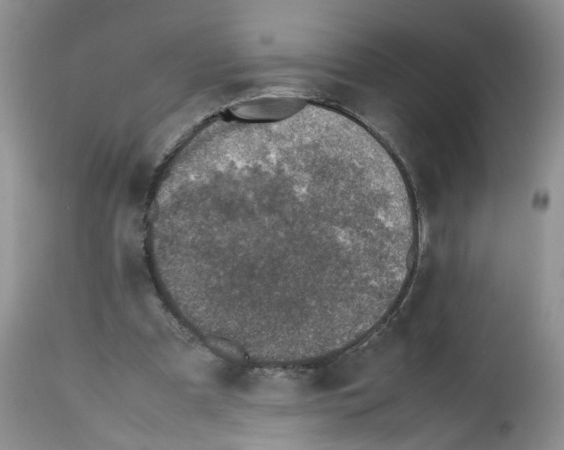 X0000112490297200909281139