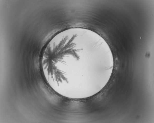 X0000112490298200909281139