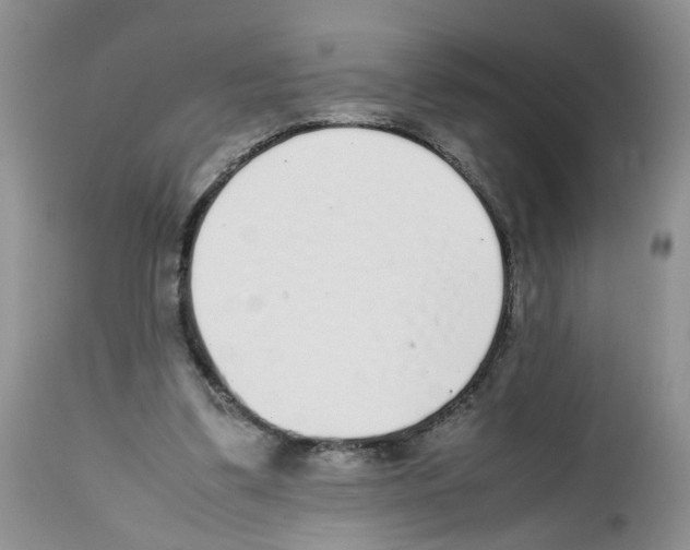 X0000112490299200909281139