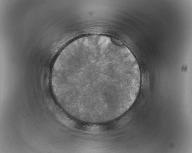 X0000112490301200909281139