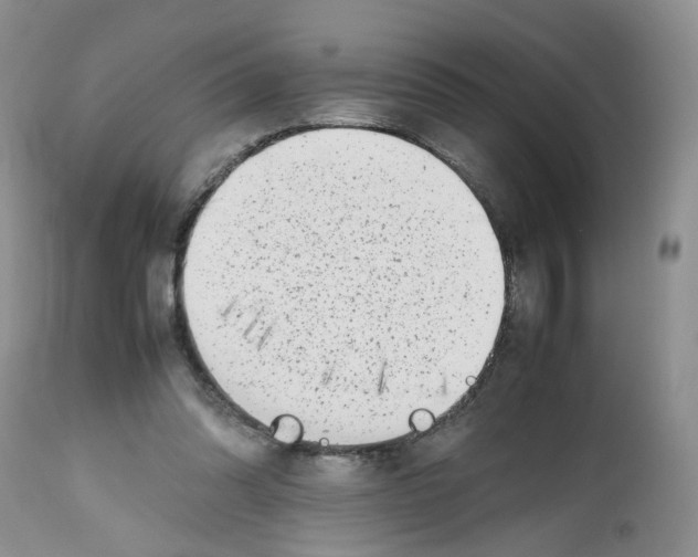 X0000112490302200909281139