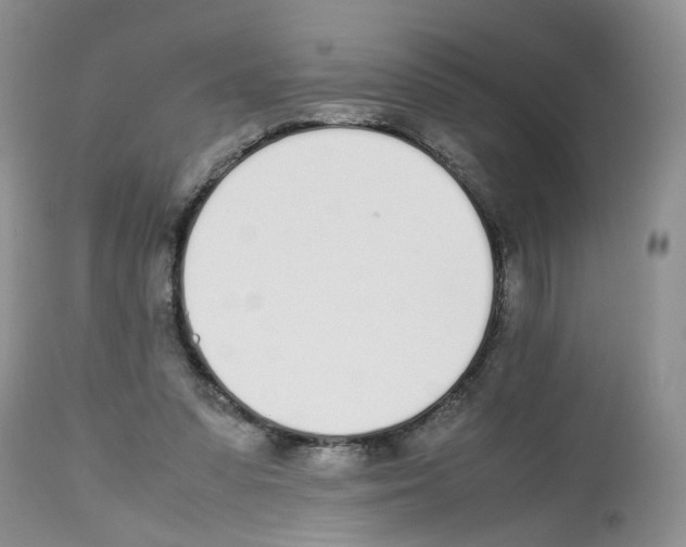 X0000112490303200909281139