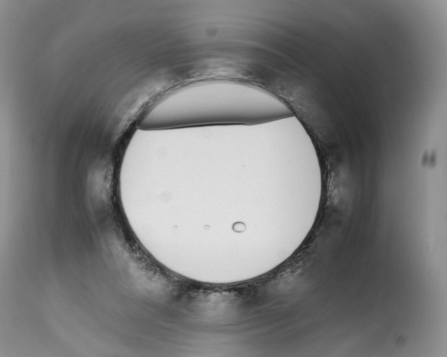 X0000112490304200909281139