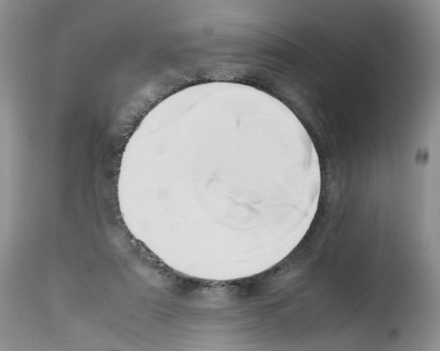 X0000112490307200909281139