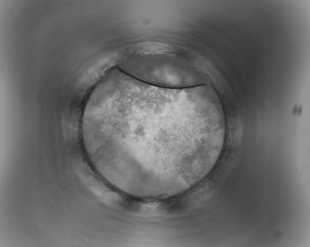 X0000112490309200909281139
