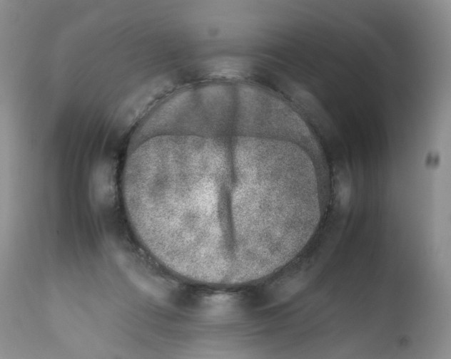 X0000112490312200909281139