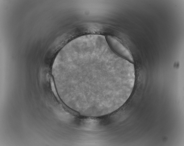 X0000112490313200909281139