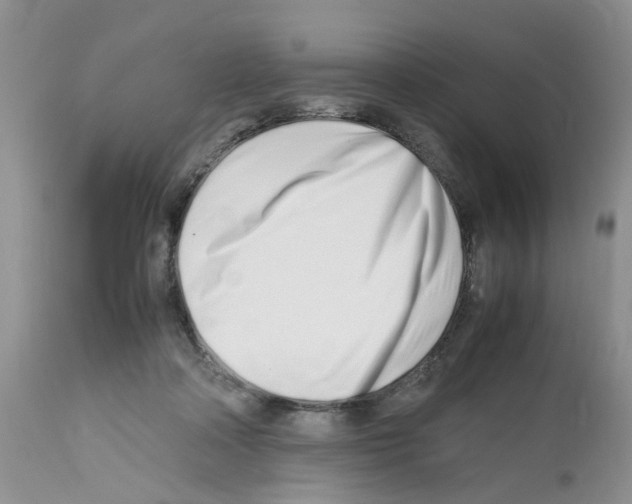 X0000112490314200909281139