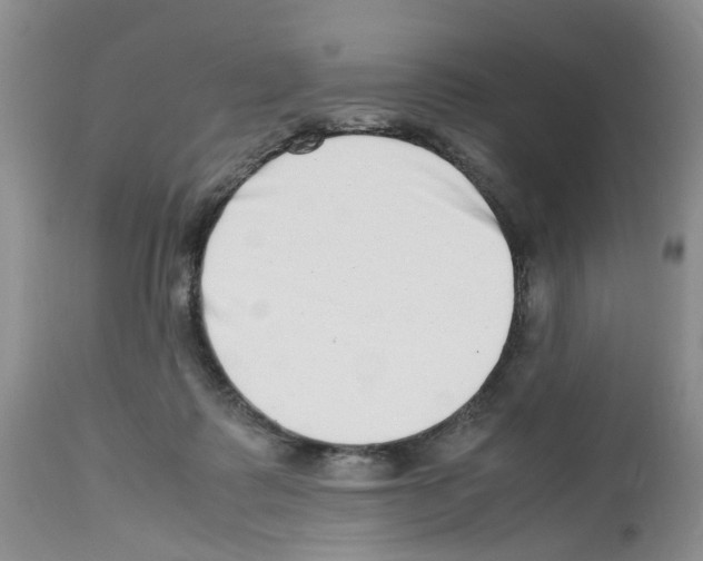X0000112490315200909281139