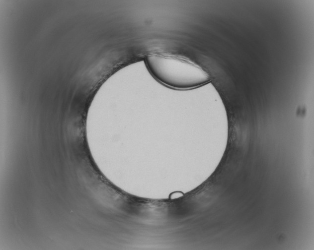 X0000112490317200909281139