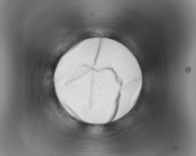 X0000112490318200909281139