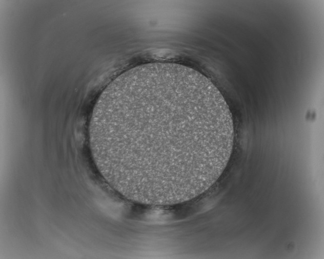 X0000112490319200909281139