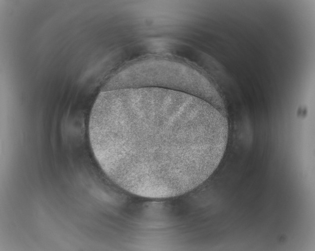 X0000112490320200909281139