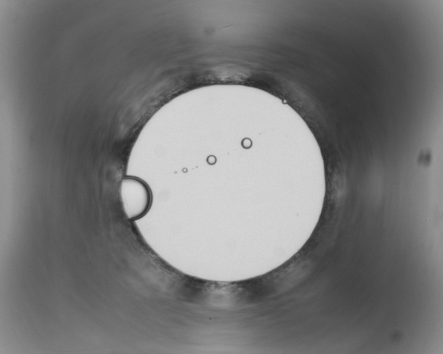 X0000112490321200909281139