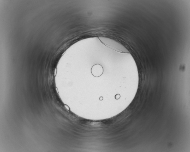 X0000112490324200909281139