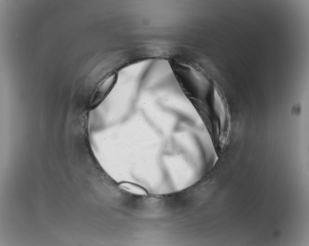 X0000112490325200909281139