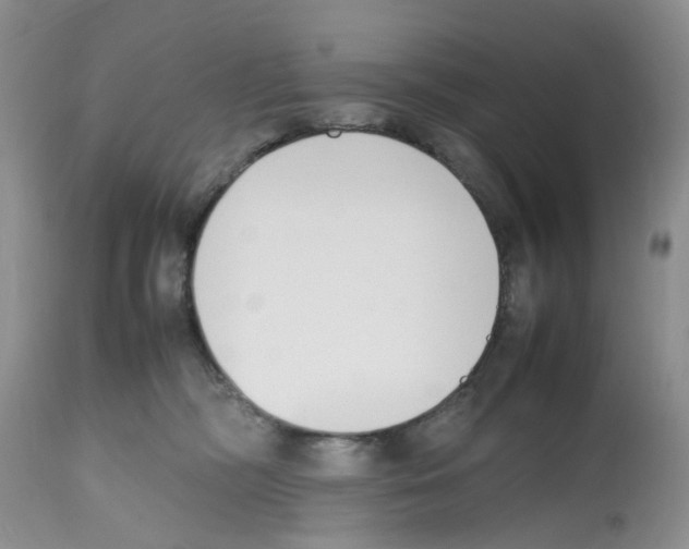 X0000112490326200909281139