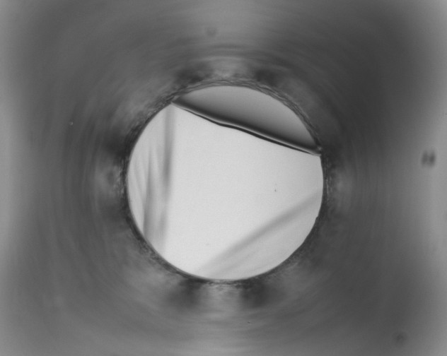 X0000112490327200909281139