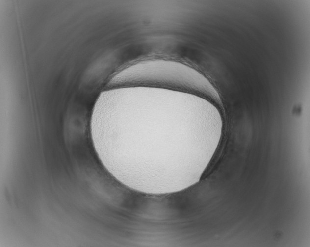 X0000112490328200909281139
