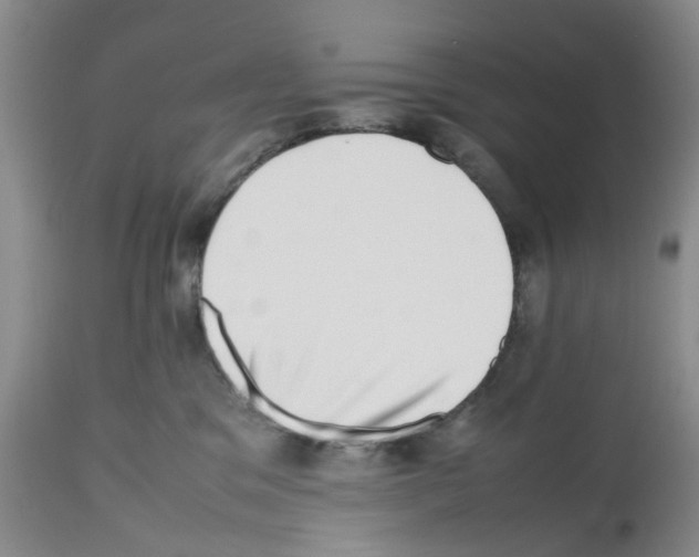 X0000112490329200909281139