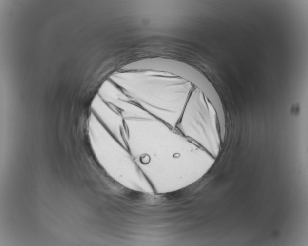 X0000112490333200909281139