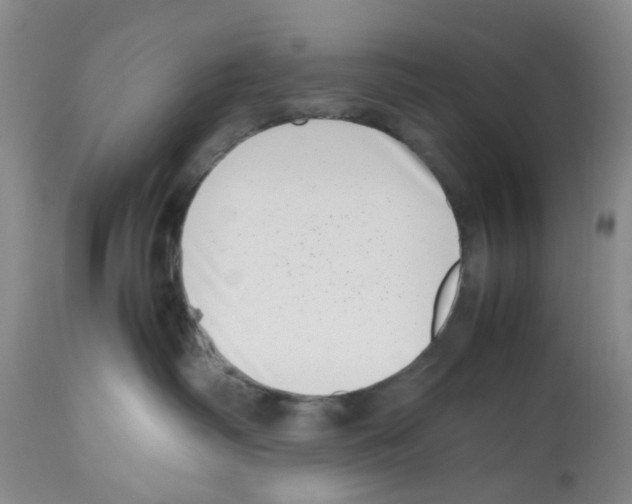 X0000112490334200909281139
