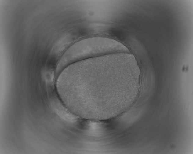 X0000112490336200909281139