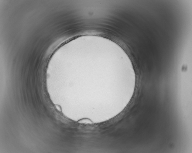 X0000112490337200909281138