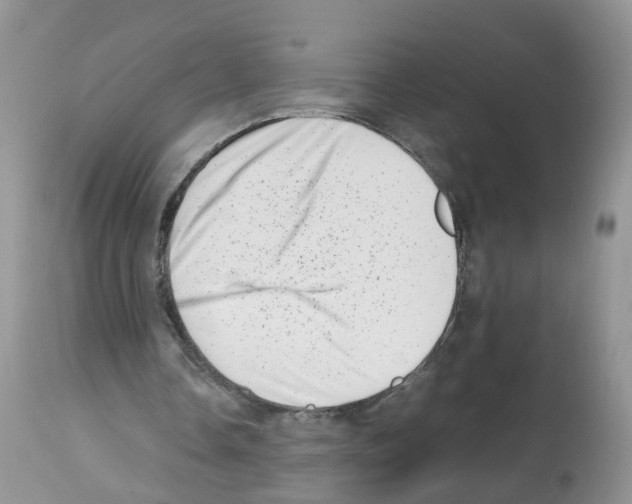 X0000112490338200909281138
