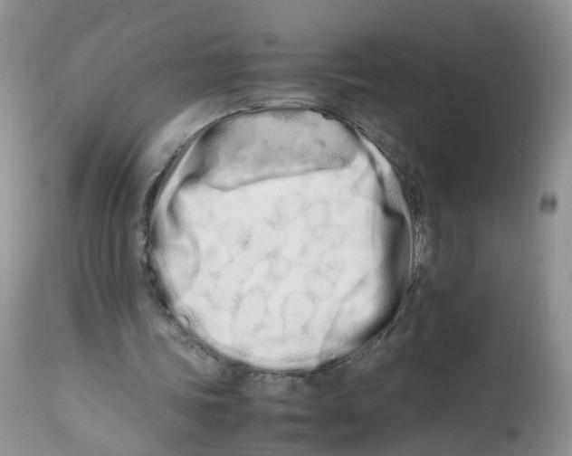 X0000112490339200909281138
