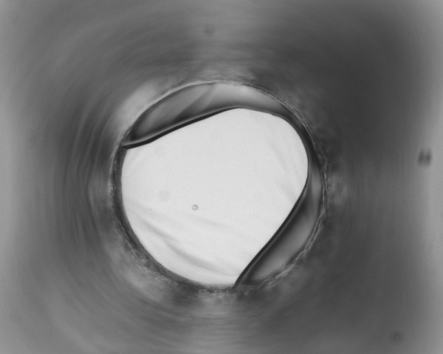 X0000112490340200909281138