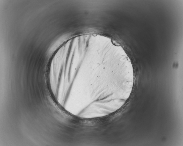 X0000112490341200909281138